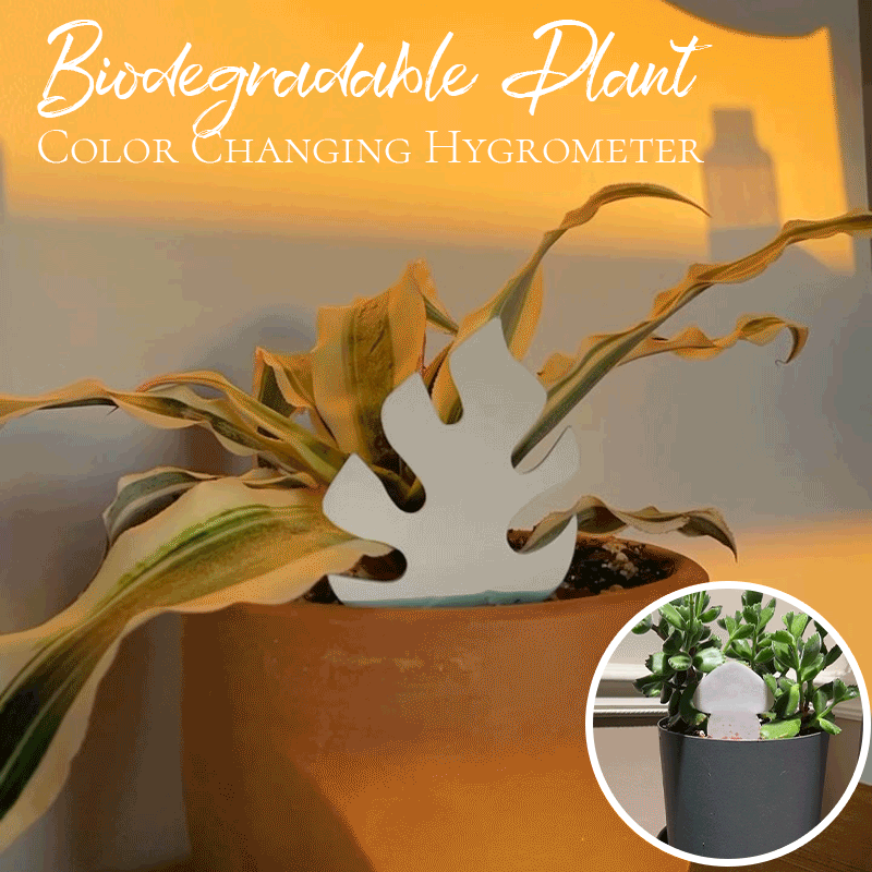 Biodegradable Plant Color Changing Hygrometer