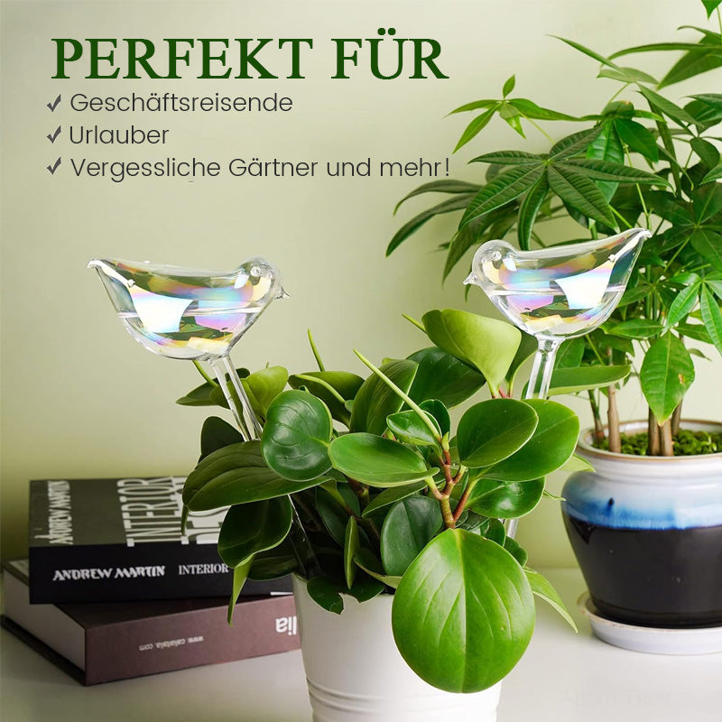 Farbenfrohe automatische Bewässerungsanlage aus Glas