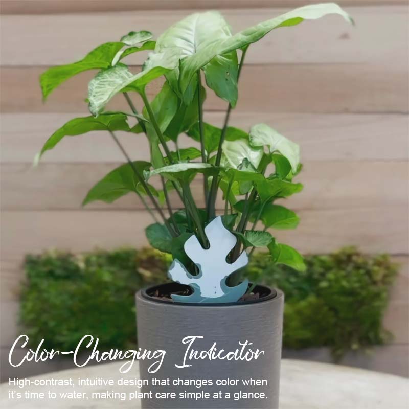 Biodegradable Plant Color Changing Hygrometer