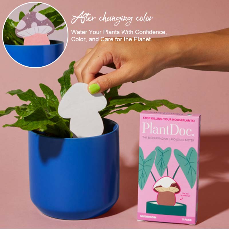 Biodegradable Plant Color Changing Hygrometer