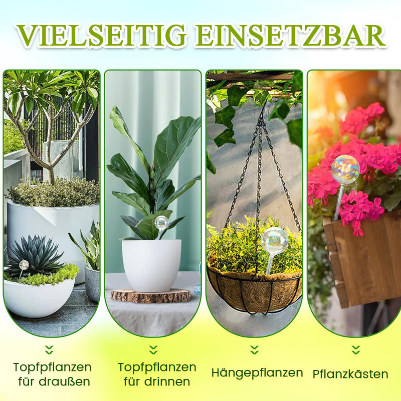 Farbenfrohe automatische Bewässerungsanlage aus Glas