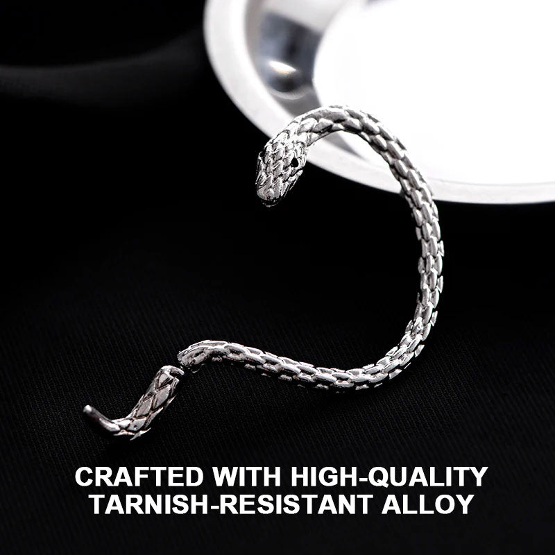 🐍 Serpent Wrap Earring