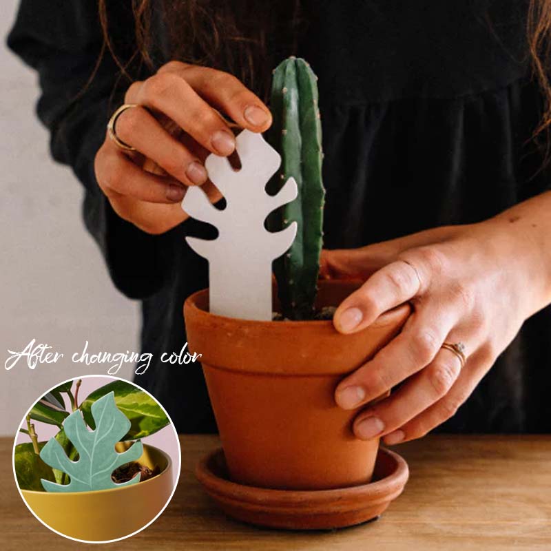 Biodegradable Plant Color Changing Hygrometer