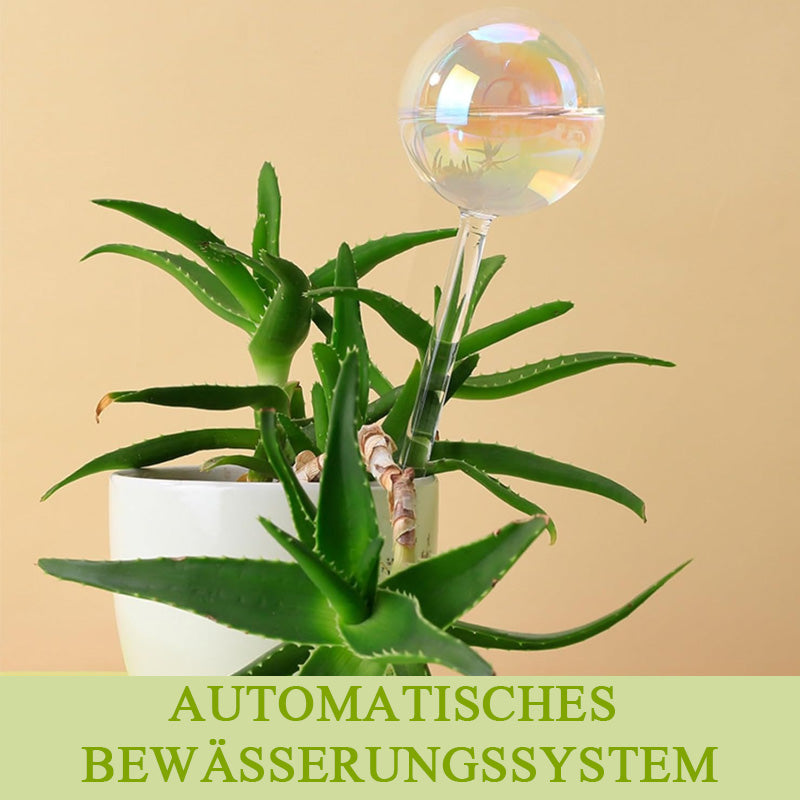 Farbenfrohe automatische Bewässerungsanlage aus Glas
