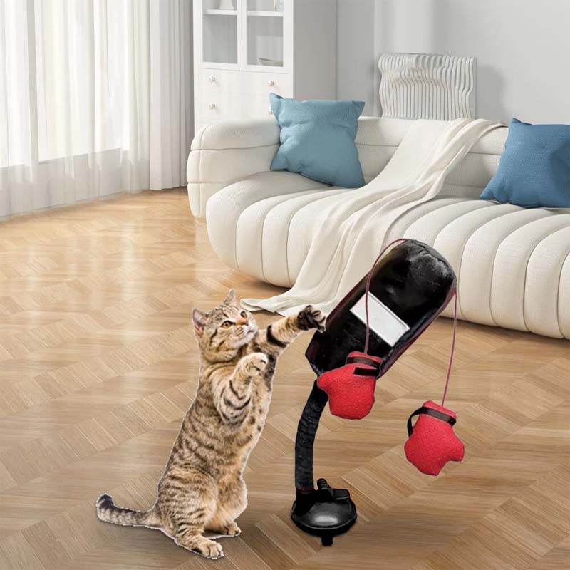 Katzenboxspielzeug