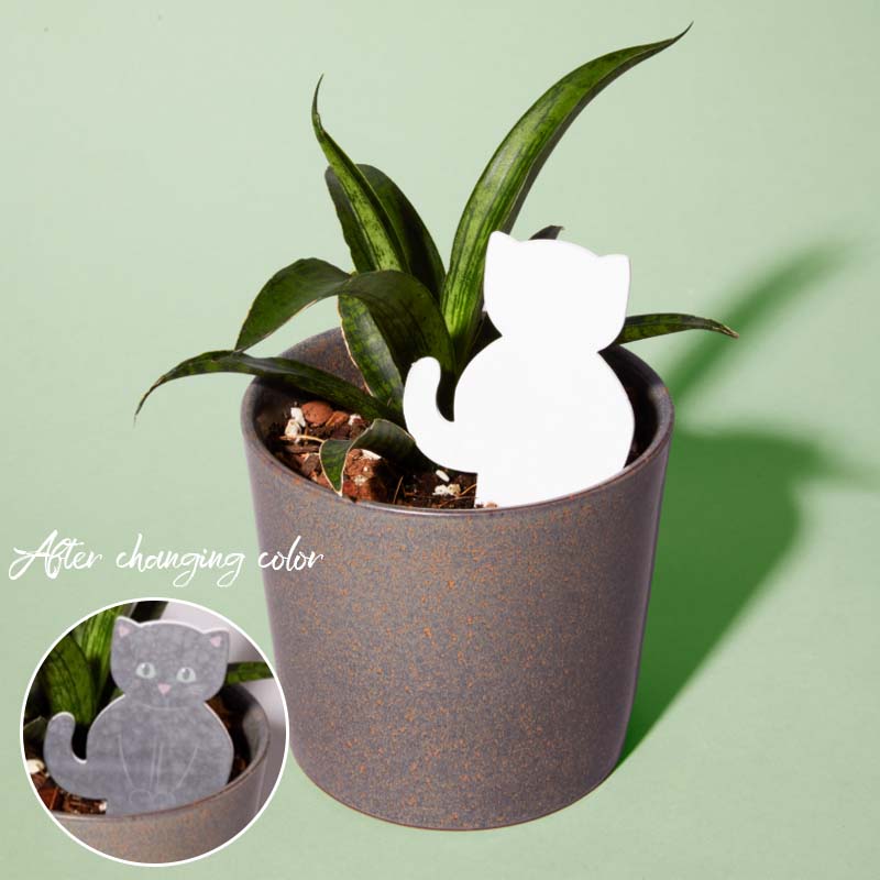 Biodegradable Plant Color Changing Hygrometer