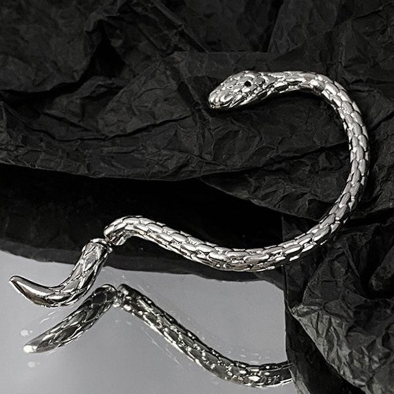 🐍 Serpent Wrap Earring