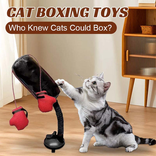Katzenboxspielzeug