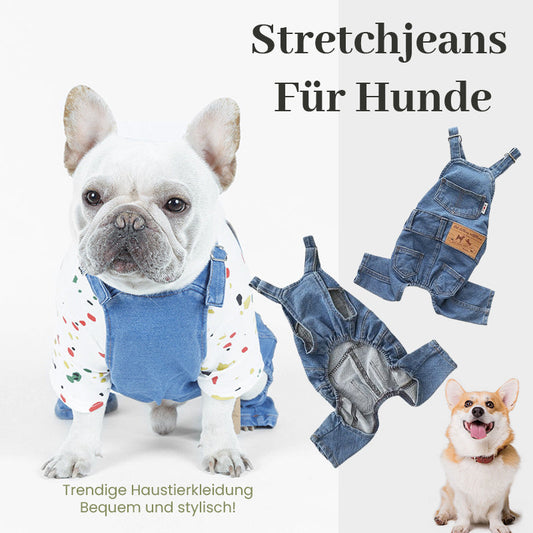 Stretchjeans für Hunde