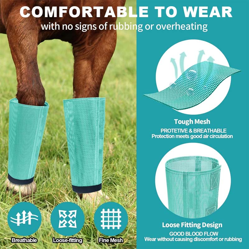 Atmungsaktive Mesh-Reithosen mit Fliegenschutz 🐎✨