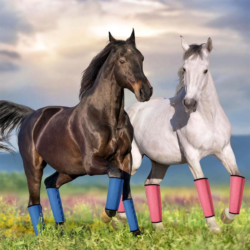 Atmungsaktive Mesh-Reithosen mit Fliegenschutz 🐎✨