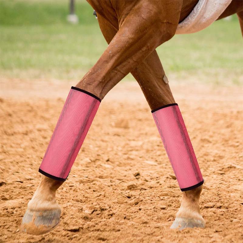 Atmungsaktive Mesh-Reithosen mit Fliegenschutz 🐎✨