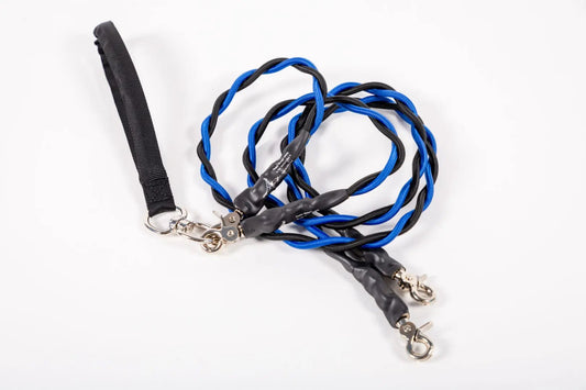 🐕Doppelte Bungee-Leine – Trainingshilfe für den ersten Schritt