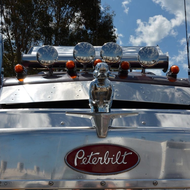 🔥 Angry  Duck Hood Ornament Death Proof